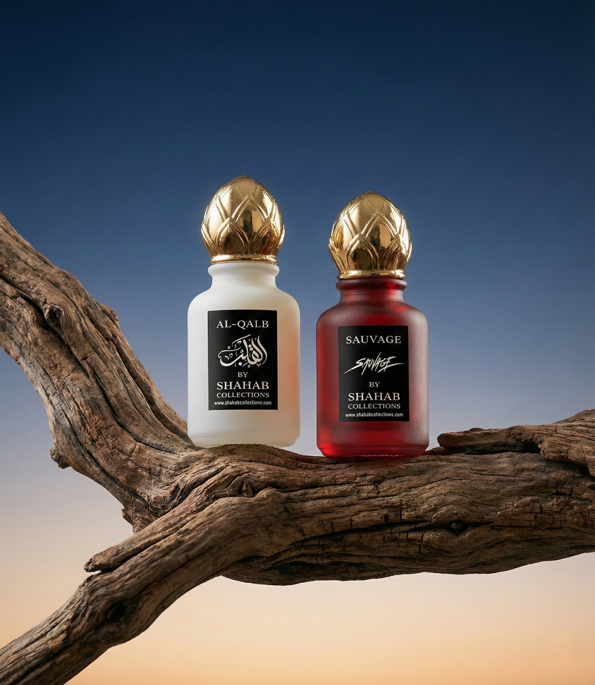 AL QALB SAUVAGE  COMBO OFFER